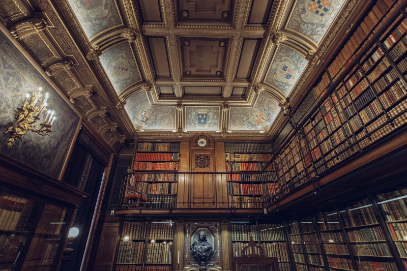 bibliotheque-BELVEDERE-min_library-863148